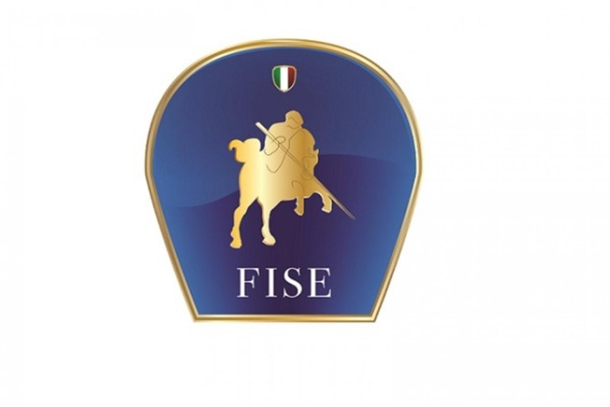 logo fise